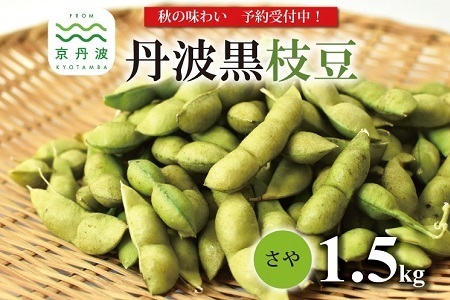 《 先行予約 》丹波黒枝豆 さや 1.5kg 京都 京丹波町産 【 枝豆 おつまみ 枝豆 黒豆 枝豆  黒枝豆 】 [010KK002L]