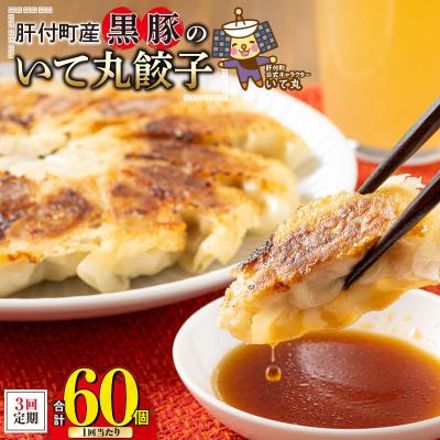 ふるさと納税 肝付町 【3回定期】肝付町産　黒豚のいて丸餃子　合計60個(たれ付)　A43086