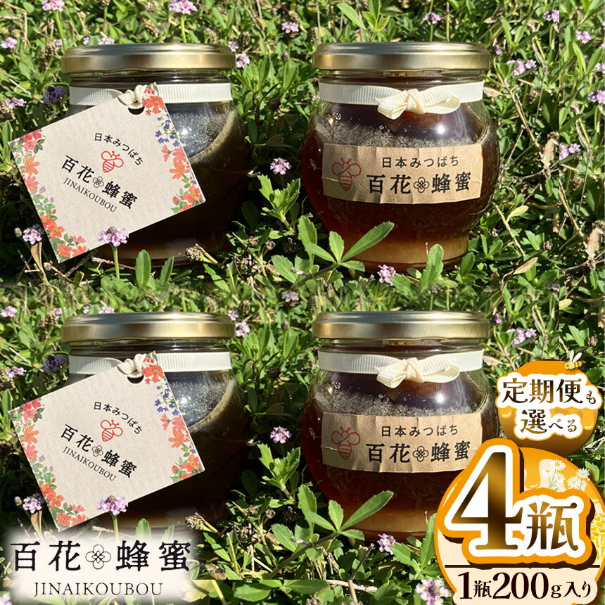 【ふるさと納税】 はちみつ 日本蜜蜂の百花蜂蜜 4瓶 定期便 限定 【選べる定期便】【数量限定】| はちみつ ハチミツ ミツバチ 濃厚 シロップ 無添加 栃木県 下野市 送料無料