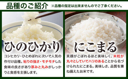 【令和7年1月発送】【先行受付】令和6年産 備中笠岡ふるさと米 10kg 国産 ヒノヒカリ にこまる きぬむすめ 米 お米 単一原料米 検査済み 国産 ブランド米 お取り寄せ 送料無料 岡山県産