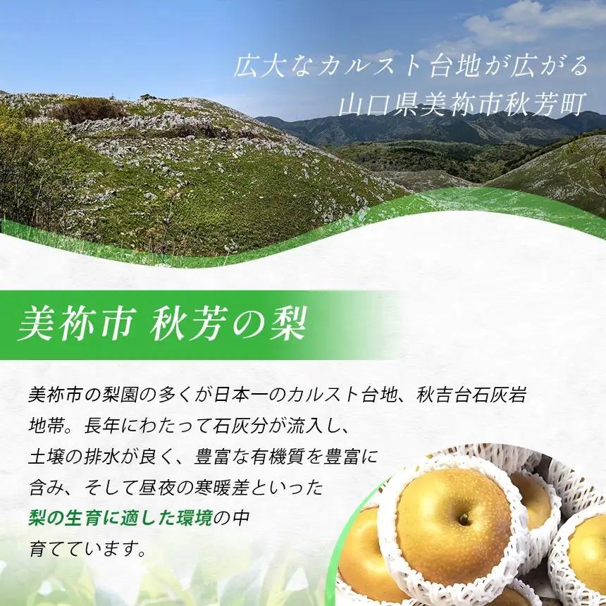 おいしい梨をいつでも 和梨のシロップ漬け 6個セット ( 秋芳の実 梨 百年の樹 )