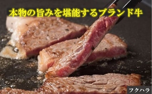 
十勝鹿追産牛肉「とかち晴れ」ロースステーキ 500g SKY001
