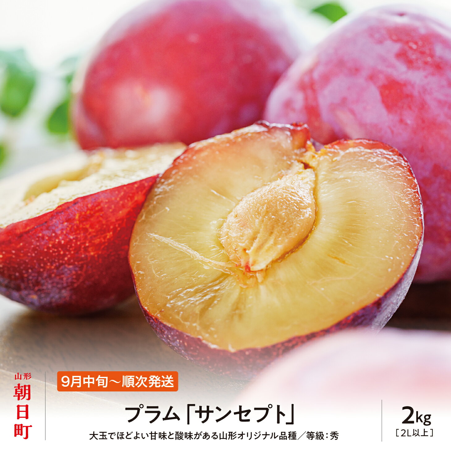 【ふるさと納税】プラム サンセプト 2kg 大玉 2L以上 秀品 化粧詰め 山形県 朝日町産 山形産 すもも スモモ フルーツ 果物 秋 送料無料