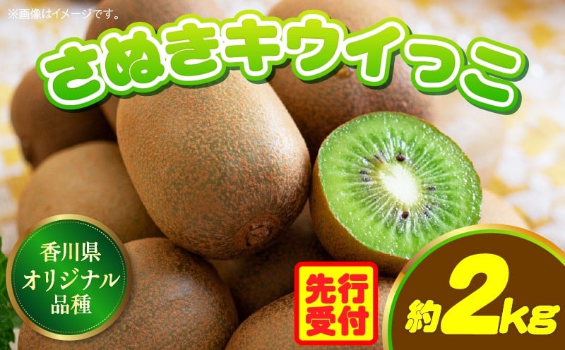 
            香川県オリジナルキウイフルーツ「さぬきキウイっこ」約2kg【香川県共通返礼品】 | キウイ キウイフルーツ 果物 フルーツ 青果 青果物 さぬきキウイっこ 果実 贈答 贈り物 ギフト 甘い 糖度が高い 季節のフルーツ 旬 おすすめ 香川県 三木町 |_mk006-042
          
