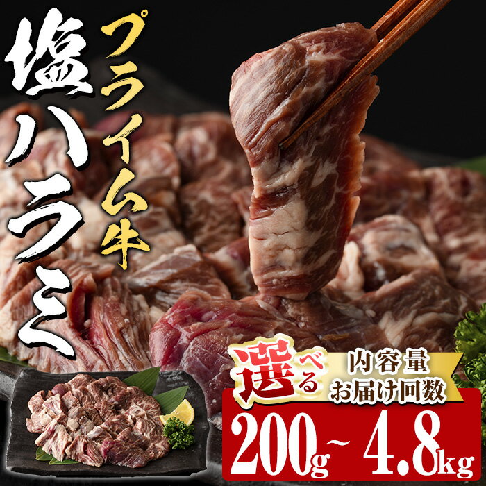 【ふるさと納税】＜ 内容量 ・ お届け回数が選べる ＞ プライム牛 塩ハラミ(計200g-4.8kg：1・3・6・12回) 小分け 牛肉 肉 ハラミ 牛はらみ 味付け 焼肉 塩 BBQ 冷凍 定期便 大分県 佐伯市【DH294・DH295・DH296・DH321・DH322・DH323】【ネクサ】
