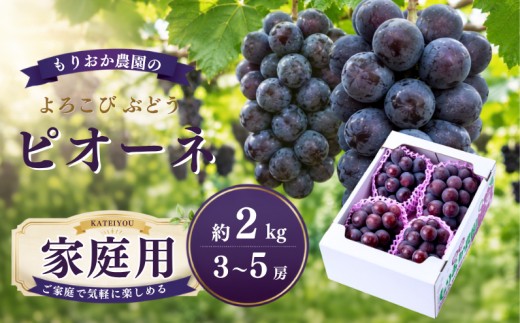 家庭用 ピオーネ 約2kg 3～5房 岡山県新見市 もりおか農園 よろこびぶどう  【先行予約 2026年9月上旬から順次発送】