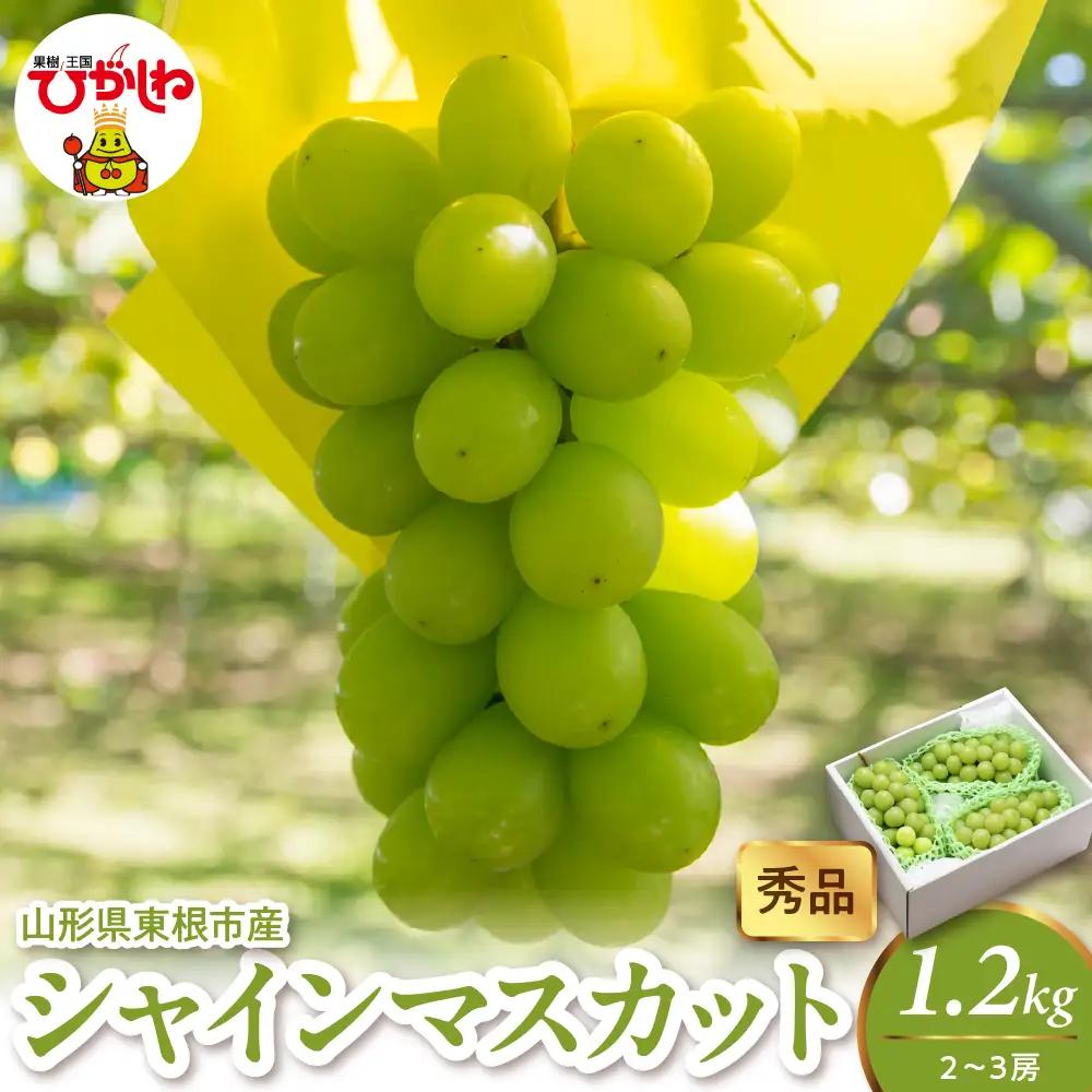 2026年産 シャインマスカット 1.2kg 2-3房 秀品 ぶどう
