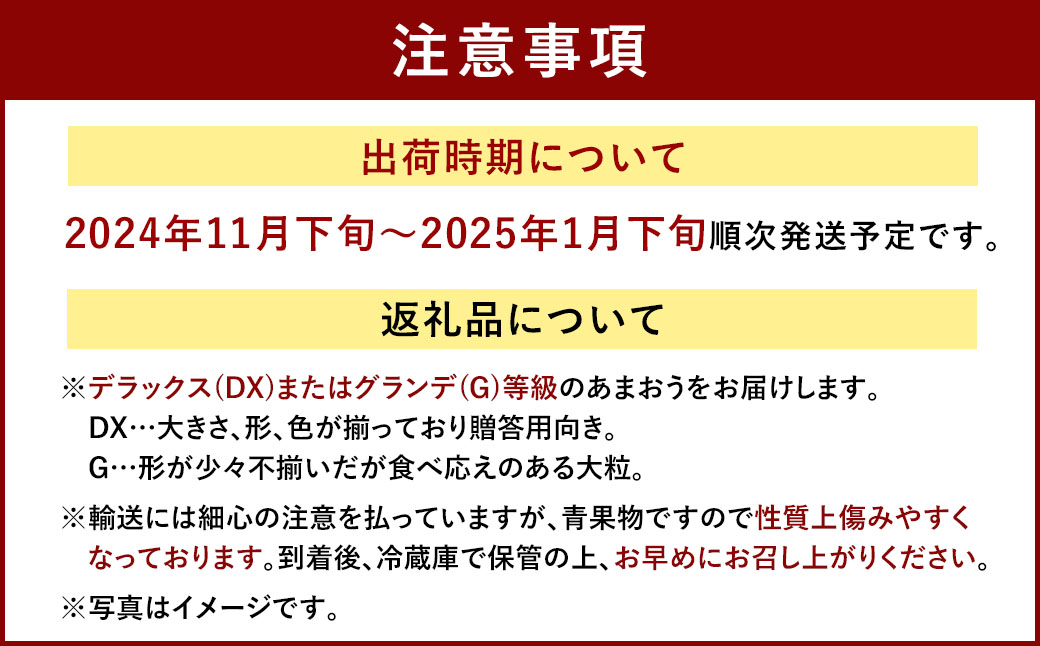 福岡産【冬】 あまおう 4パック いちご 苺 果物 フルーツ 福岡 太宰府【2024年11月下旬～2025年1月下旬発送予定】