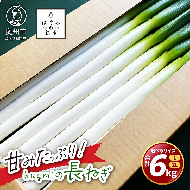 【ふるさと納税】 hugmiの長ねぎ 6kg (3kg×2個) Lサイズ/2Lサイズ 奥州市産 甘みたっぷり 冬ねぎ 冬野菜 生鮮食品 新鮮 野菜 食品 冷蔵配送 離島配送不可 岩手県 奥州市 [BJ011]