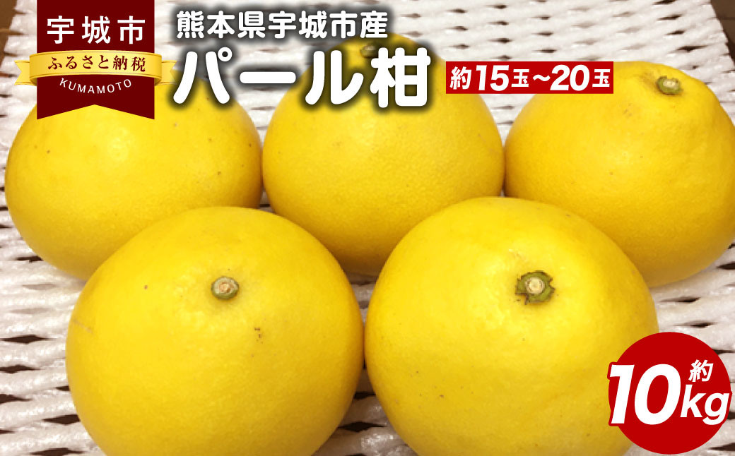 
            【先行予約】熊本県宇城市産 パール柑 約10kg 【2025年3月上旬から4月上旬発送予定】文旦 柑橘 フルーツ 果物 果実 みかん 蜜柑 ミカン
          