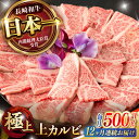 【ふるさと納税】【12回定期便】焼肉 上 カルビ 500g / 長崎和牛 A4～A5ランク キャンプ BBQ バーベキュー / 諫早市 / 野中精肉店[AHCW054]