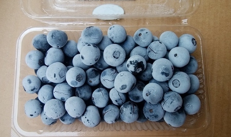 【2025年8月中旬～12月20日発送予定】南房総の冷凍ブルーベリー 250g×4パック mi0026-0002 完熟 ﾌﾞﾙｰべﾘｰ 南房総 里山 自然 冷凍 ﾌﾙｰﾂ 果物