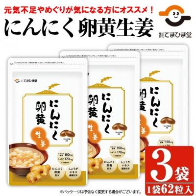 ふるさと納税 日置市 【てまひま堂】にんにく卵黄生姜(1袋62粒入り×3袋)鹿児島　日置市　1日2粒目安