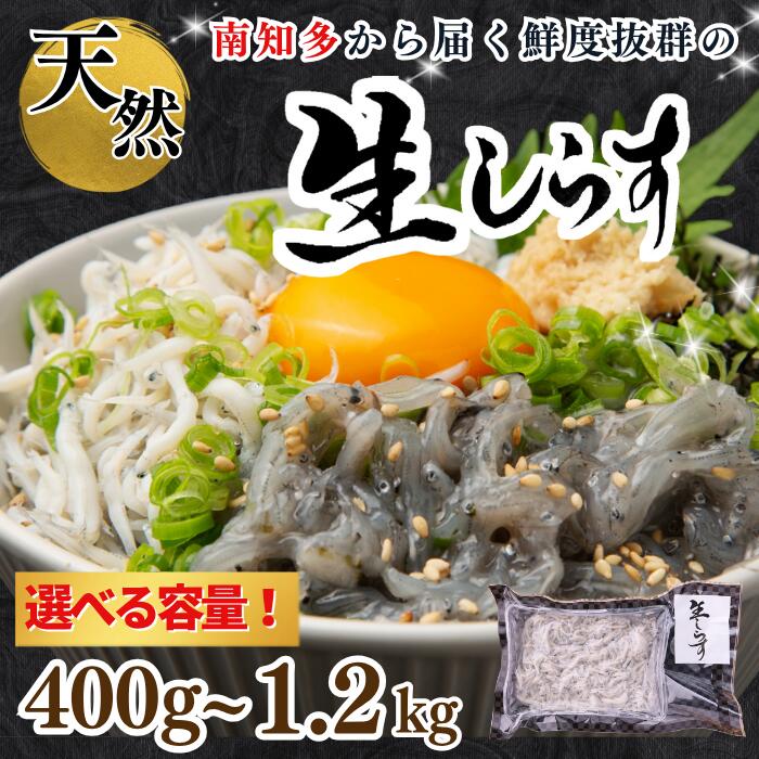 【ふるさと納税】 容量 選べる 生しらす お刺身 約400g~1.2kg 岬だより 冷凍 小分け 真空 便利 簡単 刺し身 しらす 魚 さかな 海鮮 ふるさと納税刺身 ふるさと納税刺し身 鮮度抜群 新鮮 海鮮 獲れたて 魚介 海鮮丼 人気 おすすめ 愛知県 南知多町 知多半島