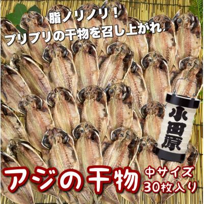 ふるさと納税 小田原市 鯵の干物 中サイズ 30枚セット 程よいサイズで朝食にも夕食にも使いやすい!【神奈川県小田原市早川】