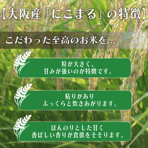 【 令和6年度産 】 お米 5kg にこまる 