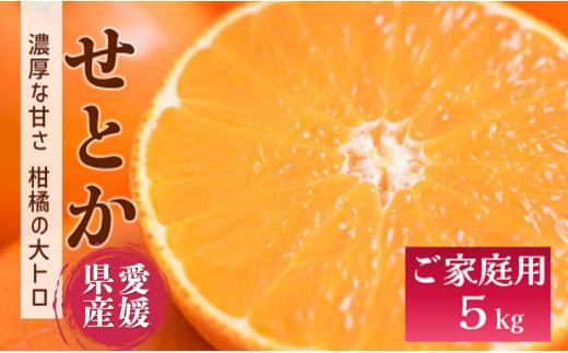 【2027年先行予約】せとか バラ詰め 約5kg【2027年2月上旬より順次出荷予定】 愛媛 数量限定 愛媛県産 人気 柑橘 伊予市｜C55