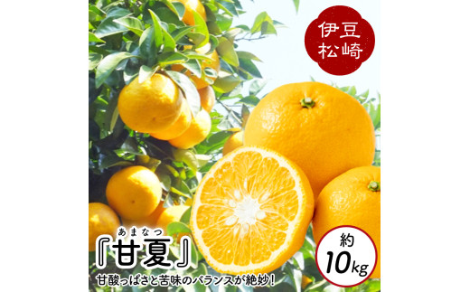 【数量限定】鈴切農園 甘夏 約10kg