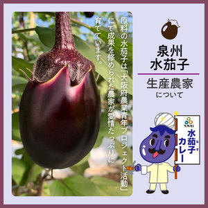 大阪産（おおさかもん）泉州水なすカレー 12箱 【御守つき】（レトルト 常温 簡単調理 レトルト食品 レトルトカレー かれー カレー カレールウ カレールウセット カレールー カレールーセット 人気カ