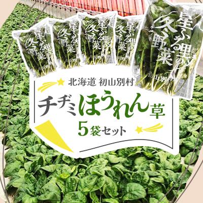 ふるさと納税 初山別村 【北海道 初山別村】 チヂミほうれん草×5袋セット