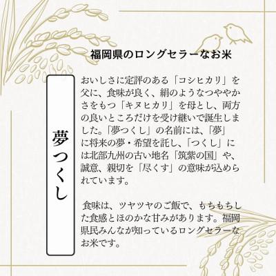 ふるさと納税 大川市 【無洗米】夢つくし 《真空パック》3kg(1kg×3本) 福岡県産(大川市) |  | 02