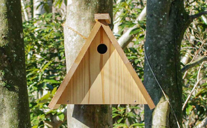 
            腐食にも強い！日田杉で作った「鳥さんの家キット」　日田市 / 山とデザイン室 鳥小屋 バードハウス 小鳥 [AREZ001]
          
