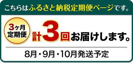 【先行予約】【3ヶ月定期便】 シャインマスカット マスカット 晴王 はれおう 2房入り(1房600g以上) 化粧箱入【配送不可地域あり】