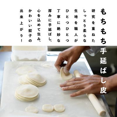 ふるさと納税 諫早市 餃子のかわしもの焼き餃子　業務用45個入りパッケージ(約35g×45個) |  | 02