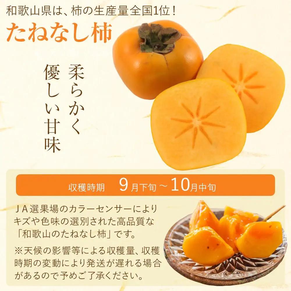 【2026年発送】JAわかやま(紀北地域)のたねなし柿 秀品 約7.5Kg L～4Lサイズ