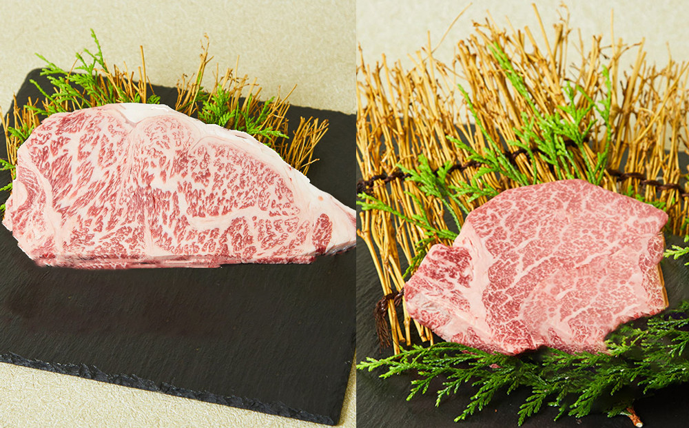 
            【定期便セット】佐賀牛サーロインステーキ200g・佐賀牛ヒレステーキ150g（冷蔵）【3ヶ月定期便】
          