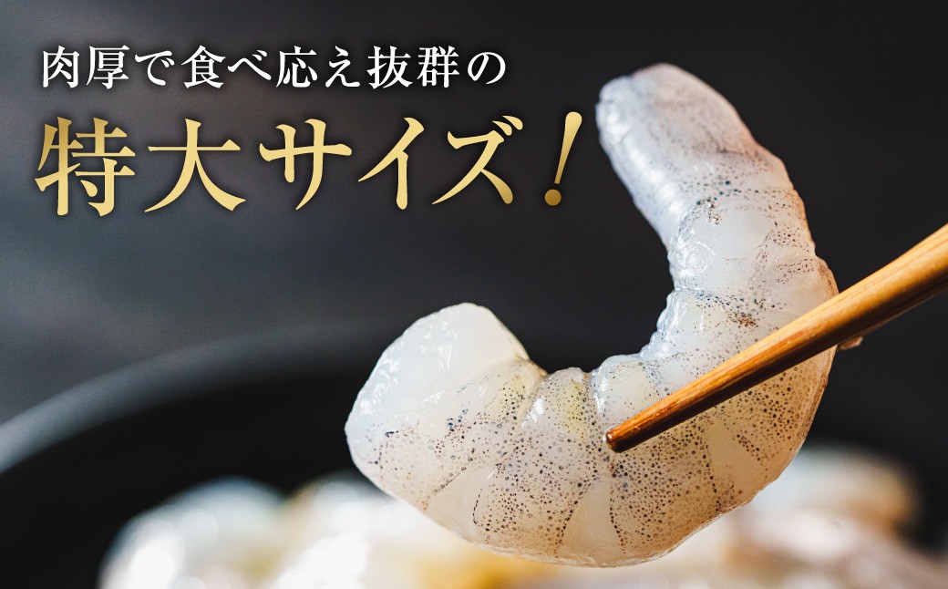 特大 むきエビ 背ワタなし 600g