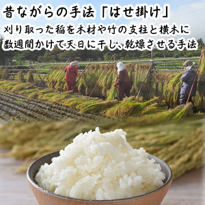 【令和7年産】 新米 11月中旬発送開始予定 天日干し米 ひとめぼれ 玄米 10kg×3ヶ月定期便 ／ 伊藤一夫 こめ 米 コメ お米 おこめ ご飯 ごはん げんまい おにぎり お弁当 仕送り お取り