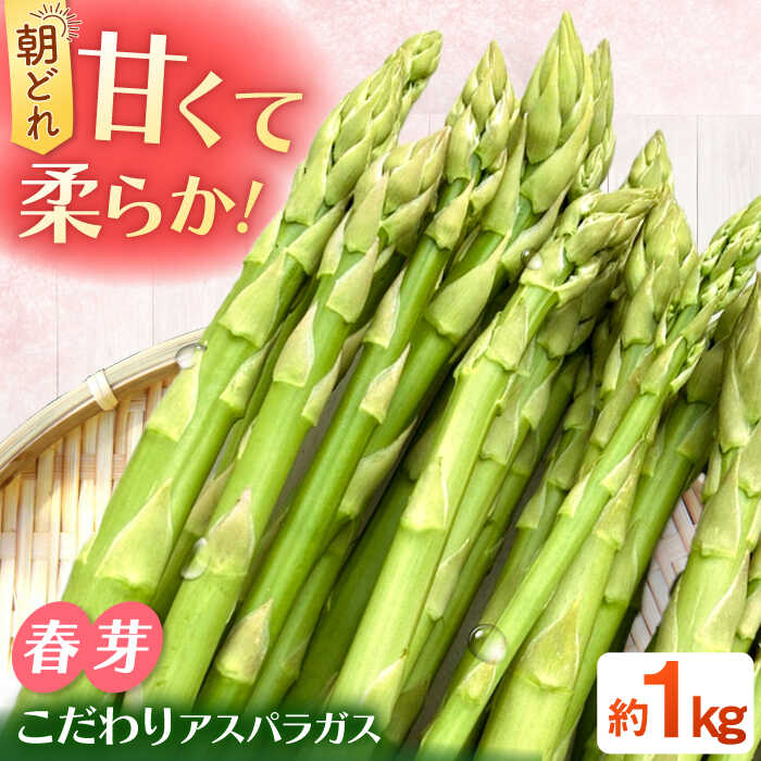 【ふるさと納税】 【2026年4月以降発送】甘くやわらか！こだわり 春芽 アスパラガス 約1kg【ふぁふぁふぁーむ】 アスパラ 朝採り 新鮮 野菜 佐賀県 白石 [ICS001]