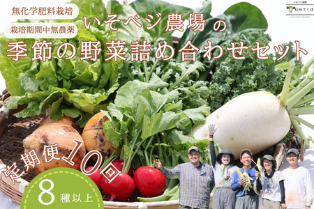 【先行受付・2025年発送】いそベジ農場の季節の野菜詰め合わせセット　定期便１０回（IV-T505）