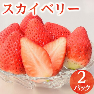 8-1【期間限定】スカイベリー（2パック）いちご イチゴ 苺 フルーツ 果物 数量限定 栃木県【オンライン決済限定】 ※着日指定不可 ※2023年1月中旬頃より順次発送予定