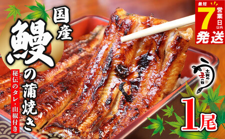 鰻蒲焼 1尾 うなぎ 【 鰻 】
