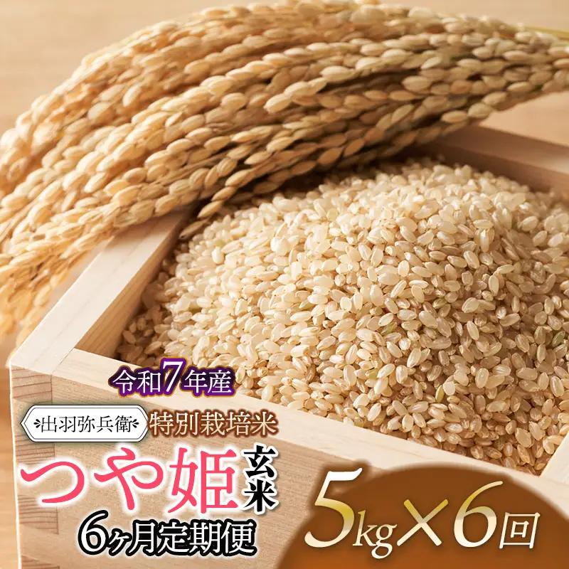 【令和7年産】【定期便6ヶ月】特別栽培米 つや姫 【玄米】 5kg×6回　山形県鶴岡市産　出羽弥兵衛　| お米 米 コメ こめ ライス つやひめ 5キロ ご飯 ブランド米 国産 主食 お取り寄せ 返礼