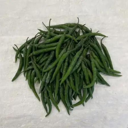 【冷凍】北川村の青唐辛子500g(2026年産)【配送不可地域：離島】【1776146】