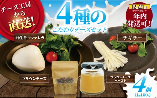 チーズ ブラウンチーズ チーズ セット 4種 ブラウンチーズ入 モッツァレラチーズ ブラウンチーズペースト チギチー さけるチーズ 極生 モッツァレラ ちーず ナチュラルチーズ 人気 おっぱいの恵み ビール おつまみ cheese Aprotodo’S株式会社 RRAAP BREWERY 神奈川 湘南 藤沢