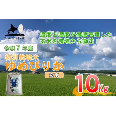 ふるさと納税 鷹栖町 令和7年産予約 たかすのお米 特別栽培米 ゆめぴりか 10kg(玄米)