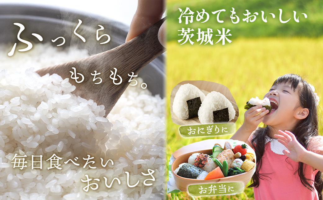 【令和7年産/白米】＜令和8年1月内発送＞ 4種食べ比べ 20kg(5kg×4袋) 茨城県産 米 小分け 2025年産 精米 K2458