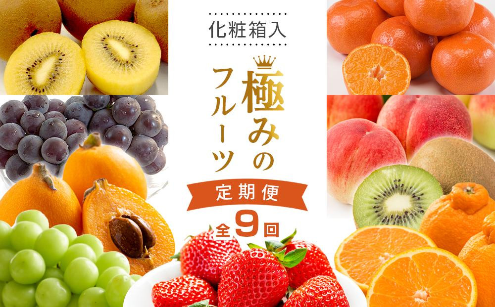 
            【全9回】極みのフルーツ定期便 (化粧箱入り)
          