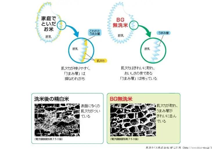 BG無洗米コシヒカリ 5kg×3ヵ月 定期便 [毎月] 令和7年産 愛を米 時短 BG 無洗米 こしひかり 島根県産 新生活応援 お試し 節水 アウトドア キャンプ 東洋ライス  【価格改定X】【45