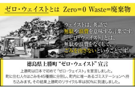 ゼロ・ウェイストアクションホテル HOTEL WHY ペア宿泊券 《30日以内に出荷予定(土日祝除く)》徳島県 旅行 宿泊 ホテル ペア宿泊券 宿泊券 チケット ゼロウェイスト 観光 徳島観光 体験型