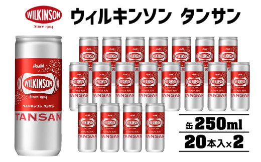 炭酸水 ウィルキンソン タンサン 250ml （20本入×2） ウィルキンソン炭酸 缶 箱 炭酸 水 炭酸飲料 ドリンク 飲料 ソーダ水 災害 防災 備蓄 ローリングストック 非常用 備蓄用 常温 常温保存 兵庫 兵庫県 明石市 明石