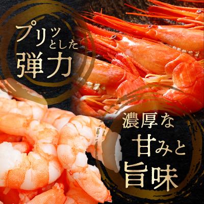 ふるさと納税 浜中町 北海しまえび中　2箱セット(1箱300g17尾前後)_H0001-009 |  | 01