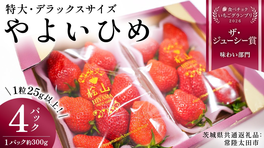 
                  やよいひめ (4パック)　特大・デラックスサイズ（茨城県共通返礼品／常陸太田市） 2026年1月上旬発送開始 大粒 フルーツ 苺 イチゴ いちご 新鮮 朝採れ 茨城県 桧山FRUITFARM [DY014sa]
                