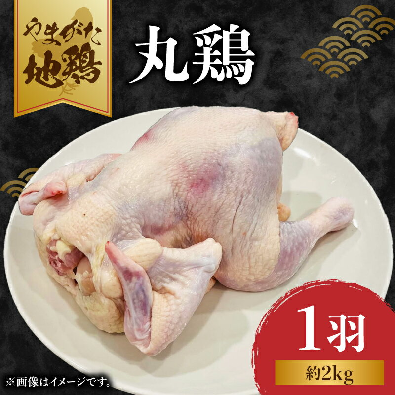 【ふるさと納税】やまがた地鶏 丸鶏 お肉 鶏肉 地鶏 セット 冷凍 丸鶏