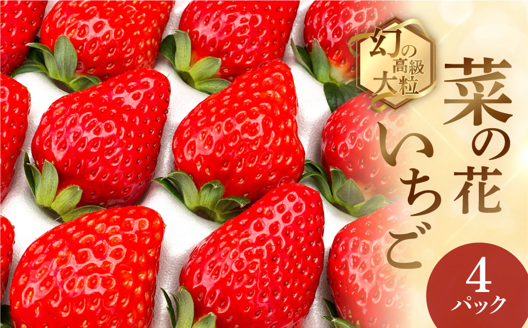 
            先行予約 2026年1月～発送開始 菜の花いちご6～8粒入 4パック 大粒 
          