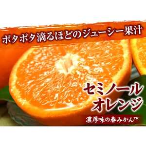 セミノールオレンジ[約2.8kg]湯浅町田村産春みかん(果実サイズおまかせ)【1242252】